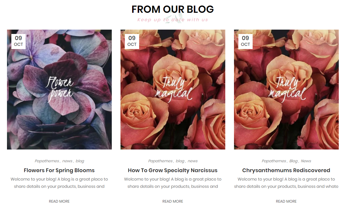Feellio Flowers Blog Section