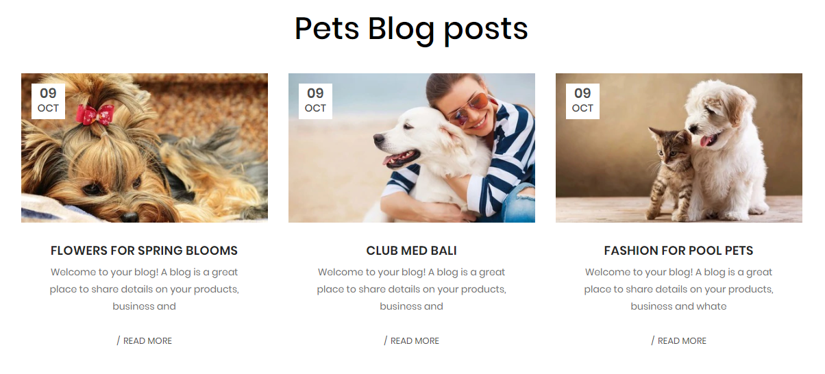 Feellio Pets Blog Section