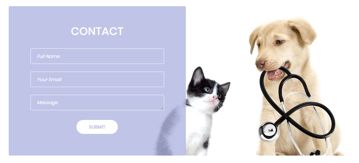 Feellio Pets Contact Section