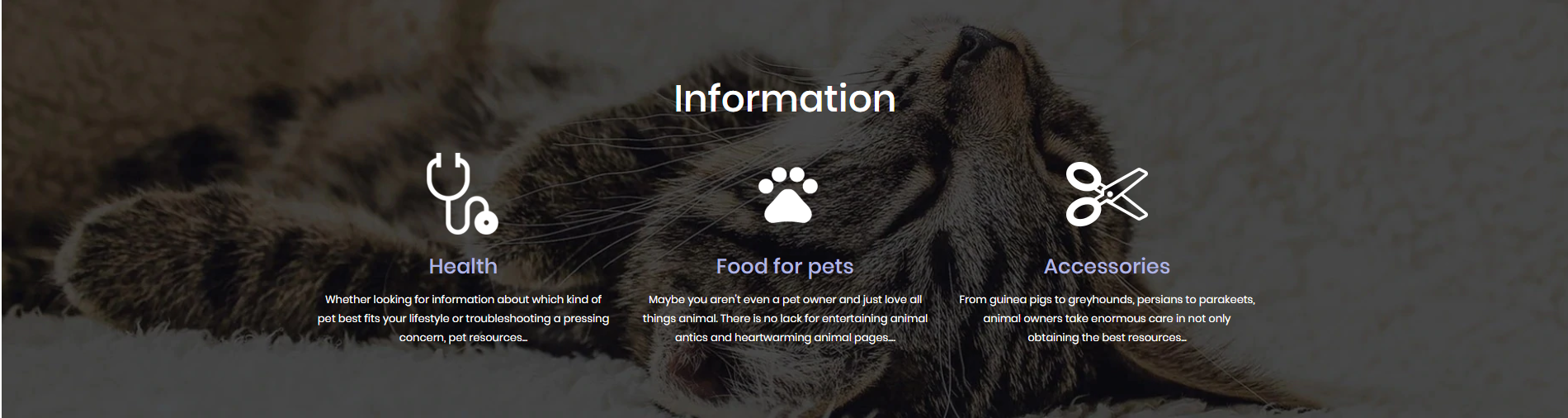 Feellio Pets Information Section