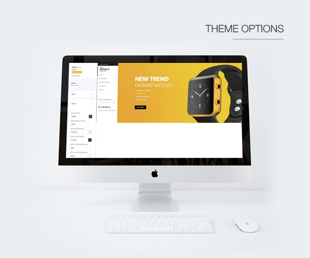 Theme Options / Theme Editor