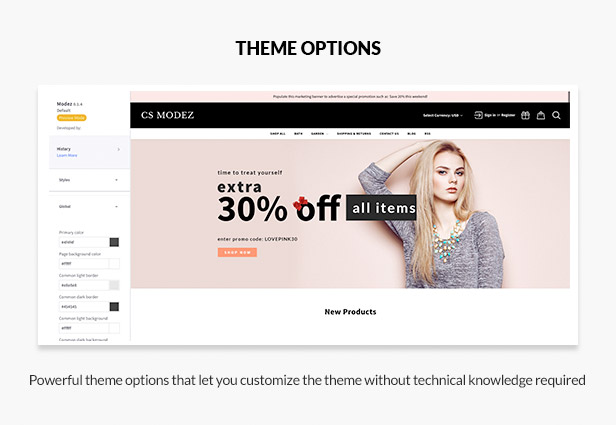 Theme Options / Theme Editor