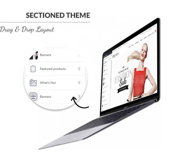 Sectioned Shopify Theme